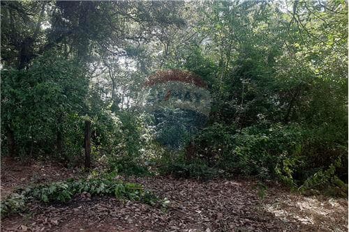 Terreno en la ciudad de limpio barrio isla aveiro — foto 5