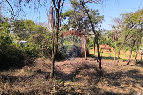 Terreno en caacupe — foto 3