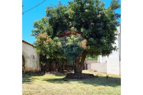 Terreno en Vendido, San Sebastián — foto 3