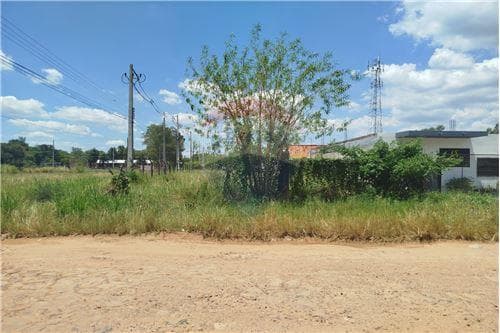 Terreno en limpio — foto 4