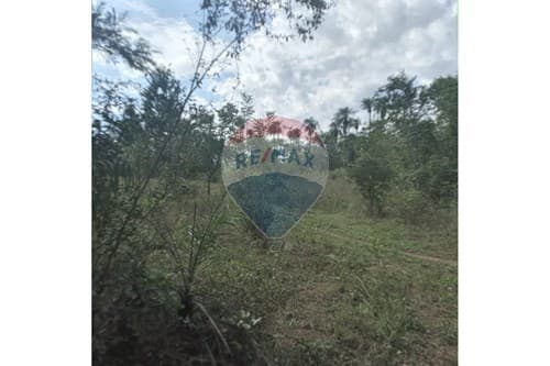 Tu Terreno Soñado en Emboscada, Paraguay, foto 4