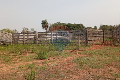 Prime Residential Land in Canindeyú — foto 5
