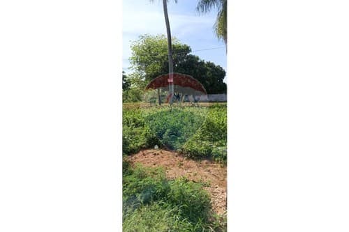 4 terreno en itaugua — foto 3
