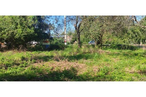 Aregua 3 terrenos en venta, foto 5