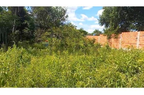 Terrenos en venta – caacupé, barrio san cayetano