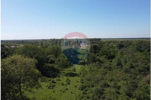 Campo- Arroyos y Esteros- Cordillera, foto 2
