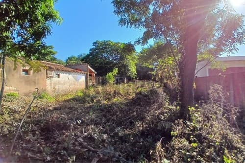 Terreno-Buena Vista Caacupé — foto 4
