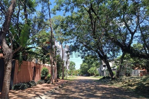 hermoso terreno en Luque — foto 5