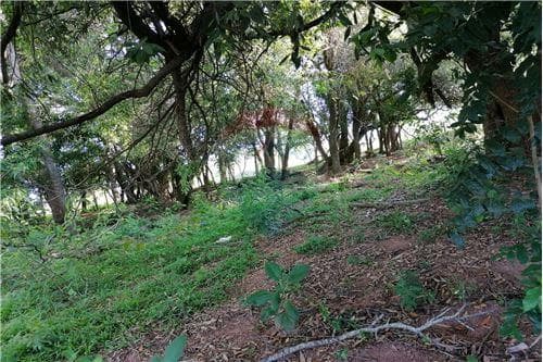 Terreno 1662m2 en el centro de san ignacio — foto 5