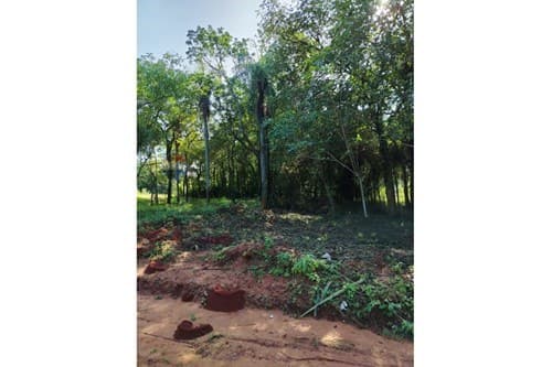 "Terreno en Zárate Isla, Luque" — foto 3