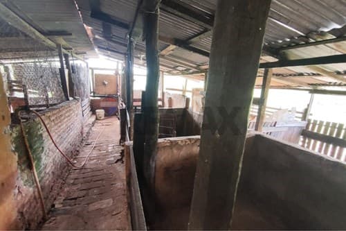 Terreno ideal para quinta o granja — foto 2