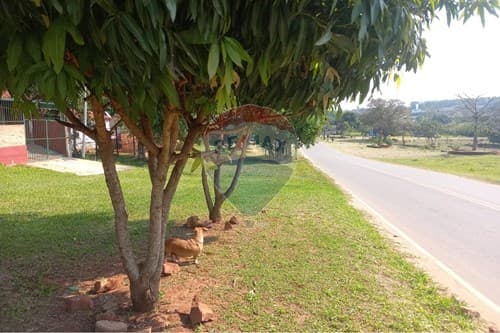 casa en Itaugua - Cañadita — foto 2