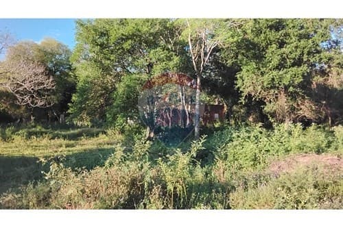 Terreno para Residencia Lujosa en Zárate Isla 🏞️ — foto 2