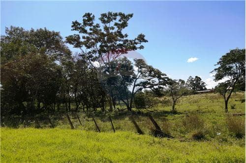 Propiedad sobre asfalto acceso Puerto Trociuk!, foto 2