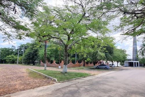 Terreno en villa florida — foto 3