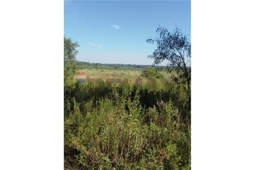 En venta 62 hectáreas en coronel bogado, foto 5
