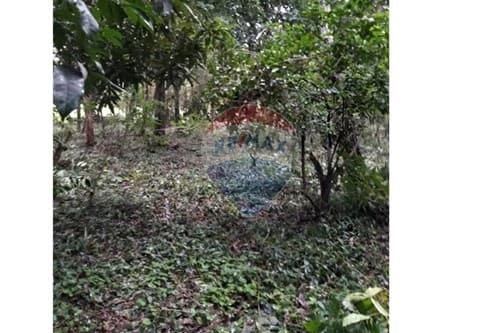 de terreno en Ita, tape tuja, foto 2