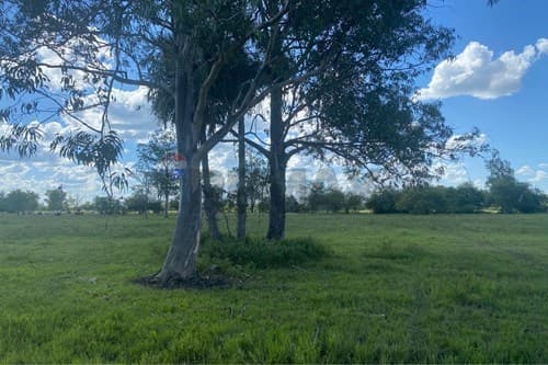Terreno en chaco´i fracción merida — foto 3