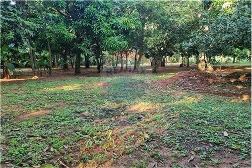 6 terrenos en itaugua- catastrados!! — foto 3