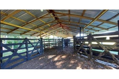 Casa Quinta "El Remanso" con 50 hectaréas — foto 4