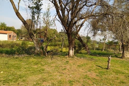 Terreno en mora kue - Luque — foto 5