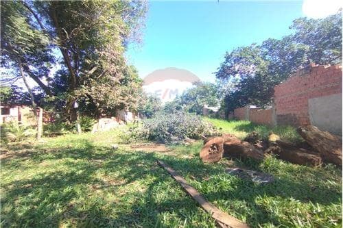 Terreno en venta - Luque b° mora cue — foto 3