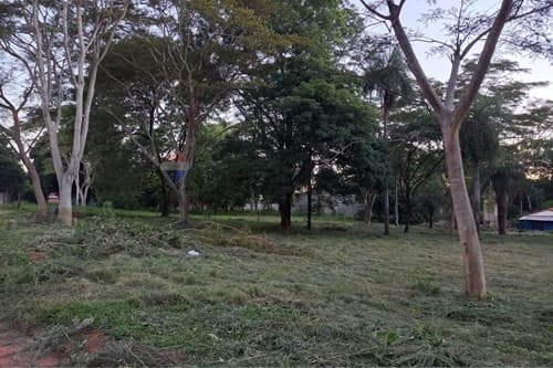 Amplio terreno en San Antonio — foto 2