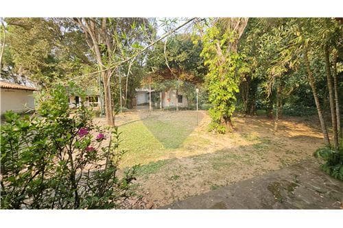 55 hectareas con casa amoblada y eucalipto, foto 2