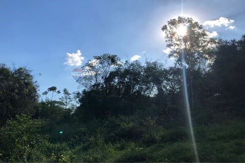 Terreno en san juan del parana — foto 4