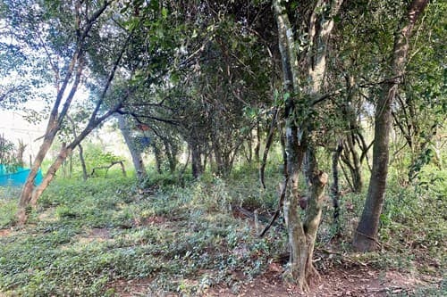 terreno en Arroyos y Esteros — foto 2
