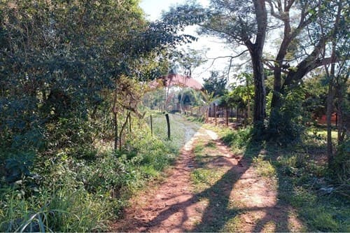 3500 m2 en J. A. Saldívar dpto Central — foto 3