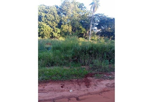 Terreno en Luque — foto 4