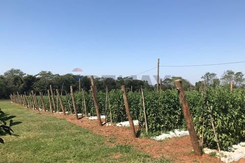 propiedad en Nueva Italia, foto 4