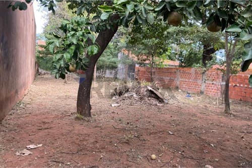 Terreno en alquiler sobre avda. Moisés bertoni — foto 5