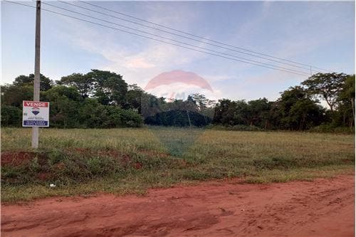 📍 ¡Terreno en Ypané a Precio de Oportunidad! 🏡 — foto 3