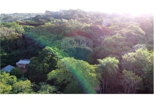 Terreno en venta- Luque (itapuamí) 10850m² — foto 5
