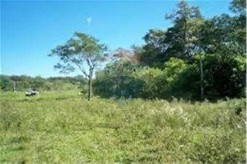 Terreno de 12.9 hectareas en caaguazu — foto 3