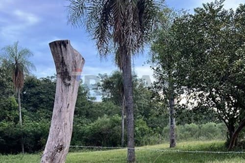 ¡Terreno Ideal para Inversión! 15 Lotes en Itauguá, foto 2