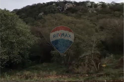 2 terrenos juntos en Yaguaron — foto 5