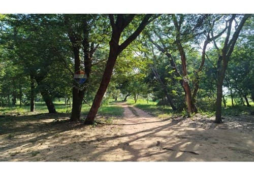 "Terreno en Barrio Cerrado Ecos del Lago ", foto 2
