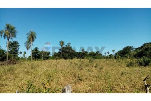 Oportunidad de inversión (3 Ha y 7.293 m²), foto 4