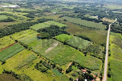 En venta - 7 hectáreas en villeta sobre ruta — foto 4
