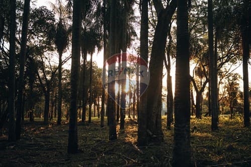 SUNSET HILLS Tu lugar frente al Lago Ypacaraí