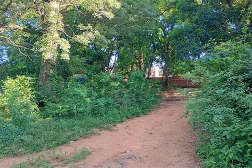 Terreno en Luque - isla bogado — foto 4