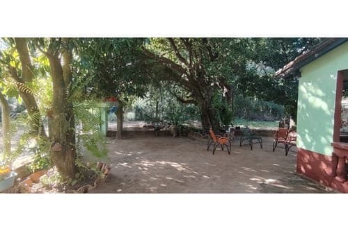 Terreno en Limpio - 50 mts del Asfalto — foto 3