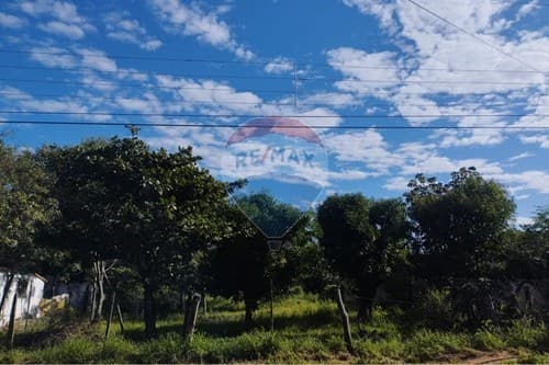 Terreno en Limpio: Tu Inversión Ideal en Paraguay — foto 5