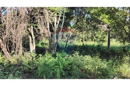 Terreno para Residencia Lujosa en Zárate Isla 🏞️ — foto 4