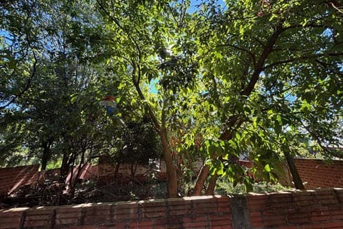 Terreno es esquina, Barrio Jardin — foto 2