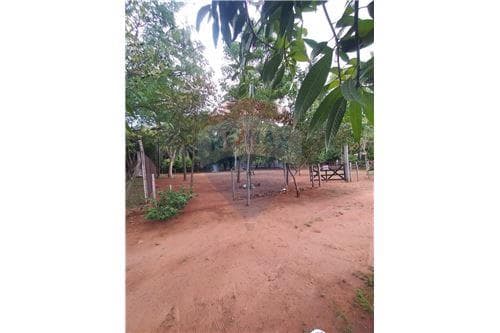 Vendo tres terrenos juntos en atyra
