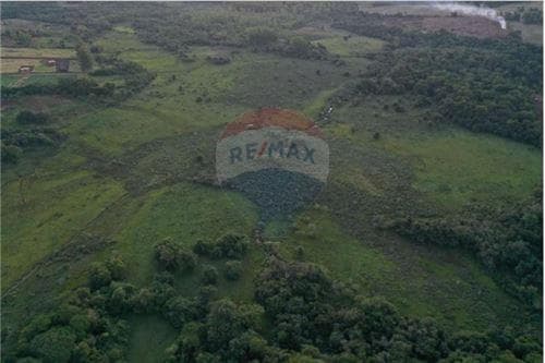 Propiedad de 31 hectáreas - Encarnación, foto 4